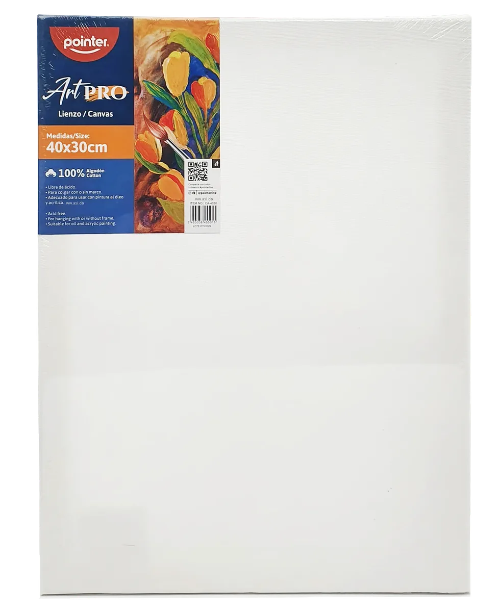  Cuadro de Lienzo Canva para Pintar 12"x 16" - Pointer ArtPro