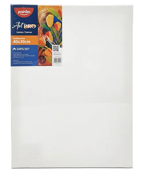  Cuadro de Lienzo Canva para Pintar 12"x 16" - Pointer ArtPro