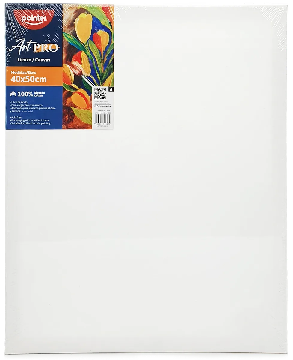  Cuadro de Lienzo Canva para Pintar 16"x 20" - Pointer ArtPro