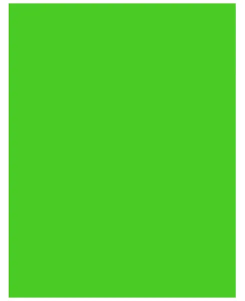 Lámina de Cartulina 20" x 26", Verde Esmeralda
