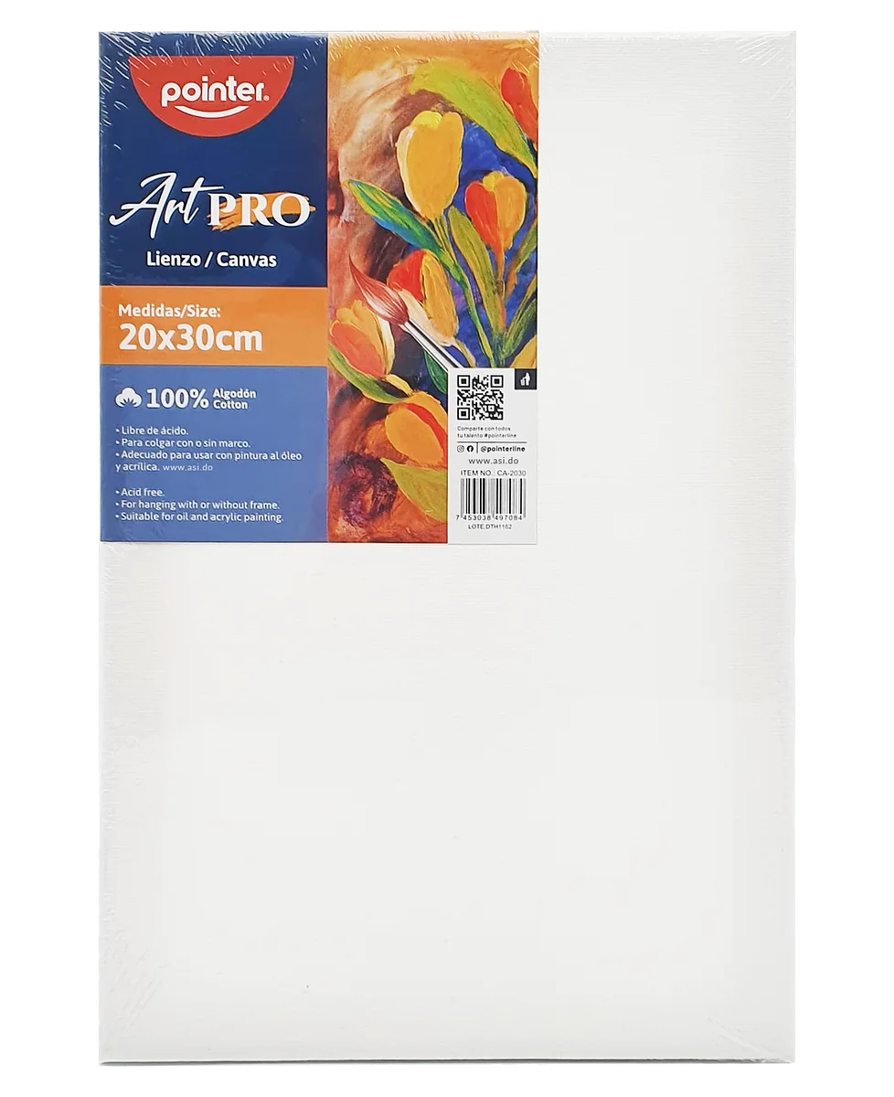  Cuadro de Lienzo Canva para Pintar 8"x 12" - Pointer ArtPro