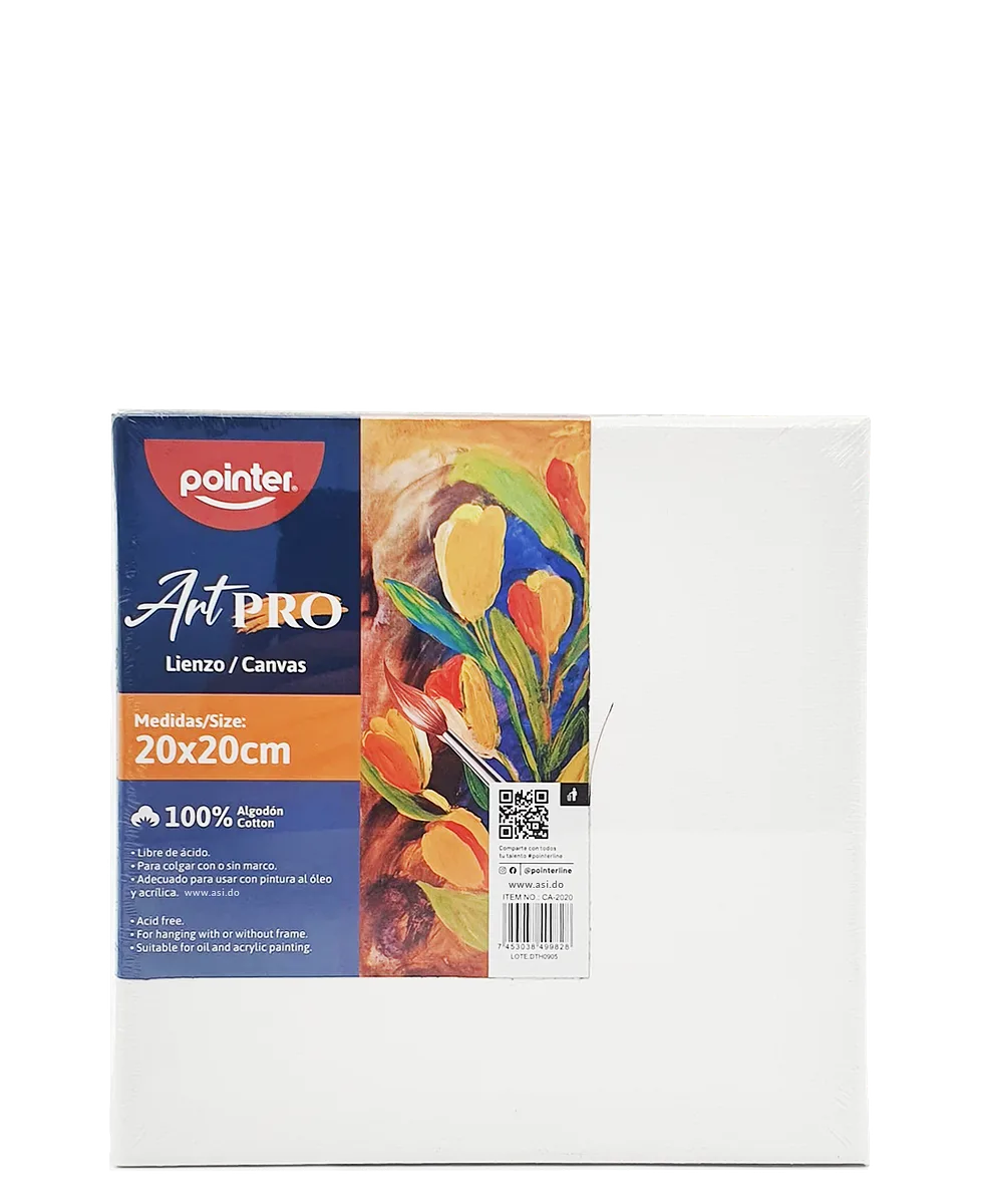  Cuadro de Lienzo Canva para Pintar 8"x 8" - Pointer ArtPro
